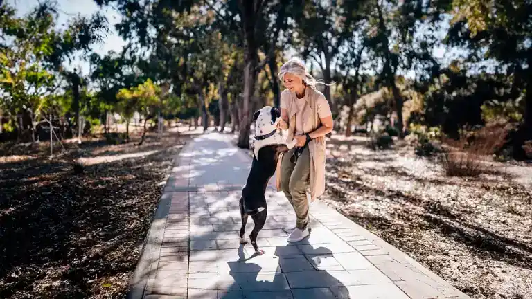 Gondola AMPS improves your balance issue