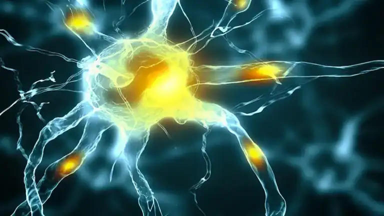 découverte de la mort cérébrale due à la maladie de Parkinson